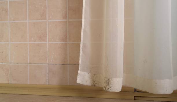 Best Residential Mold Inspection & Testing  in Bermuda Dunes, CA