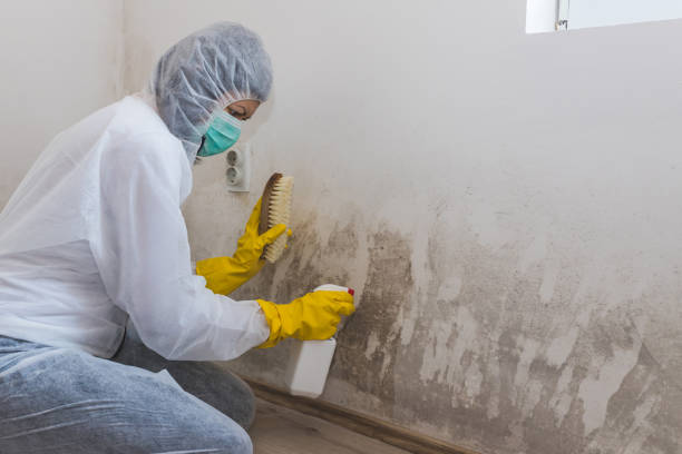 Best Mold Prevention Services  in Bermuda Dunes, CA