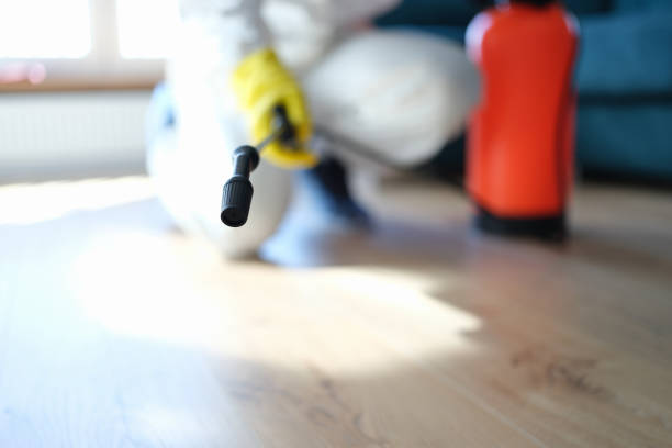 Best Mold Remediation for Healthcare Facilities  in Bermuda Dunes, CA