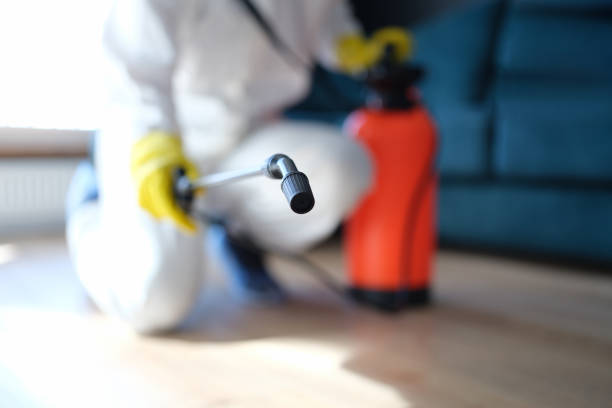 Best Attic Mold Removal  in Bermuda Dunes, CA