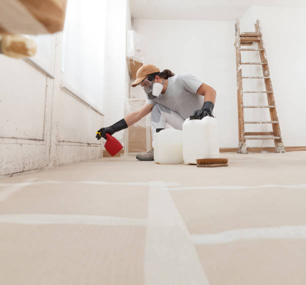 Best Indoor Air Quality Assessment  in Bermuda Dunes, CA