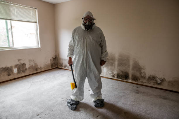 Best Biohazard Mold Removal  in Bermuda Dunes, CA