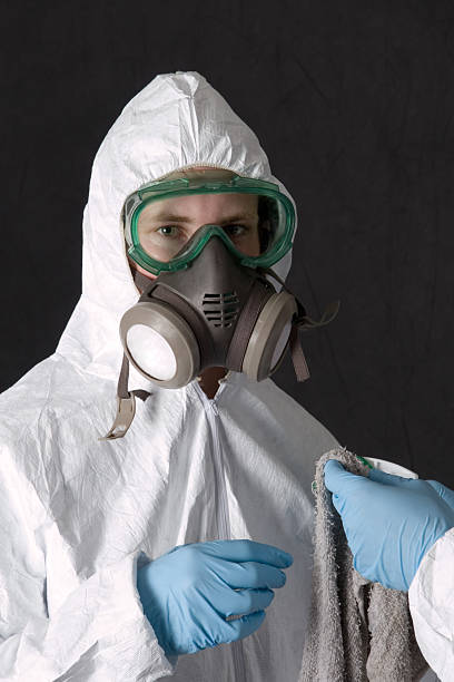 Best Attic Mold Removal  in Bermuda Dunes, CA